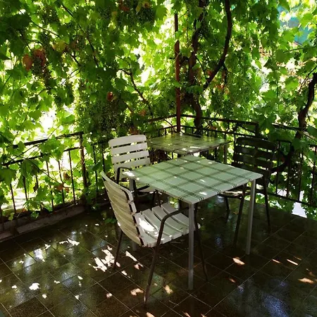 Bela * Ohrid